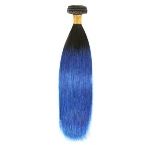 Ombre Straight T1B/Blue: Boss Price
